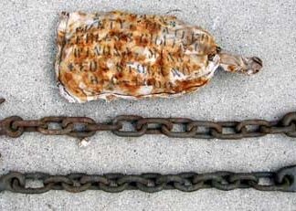 Safety Chain Set, Early