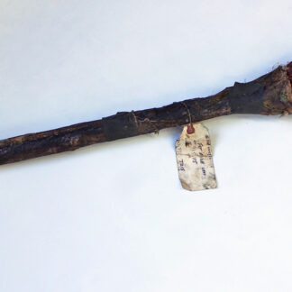 Bendix axle shaft