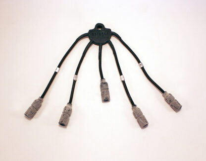 5 wire spider harness Packard